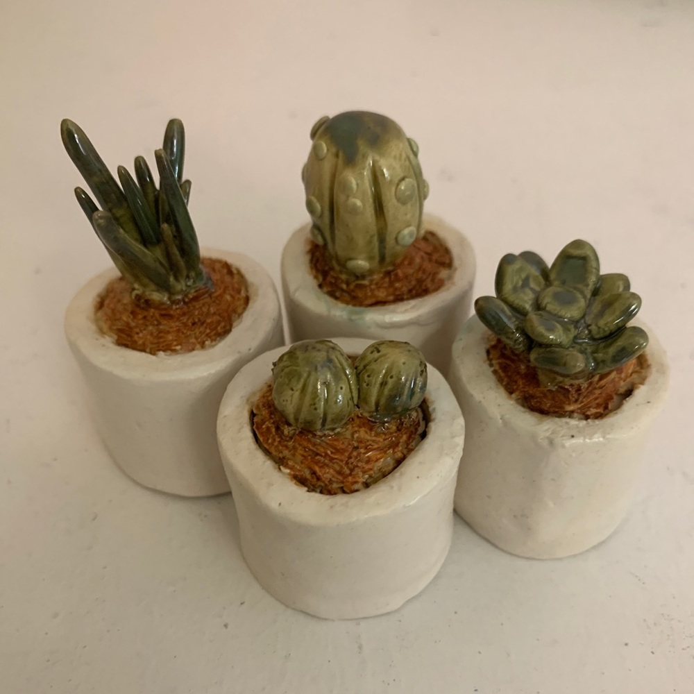 Handmade Ceramic Succulent Decor
